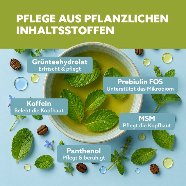 Kopfhautserum ‘Vital Hair Booster‘