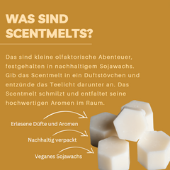 Scentmelts Raumduft-Wachs '10 Stück im Glas'