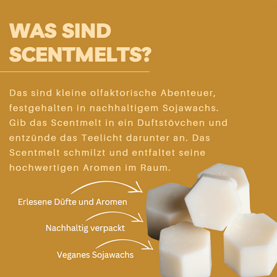 Scentmelts Raumduft-Wachs '10 Stück im Glas'