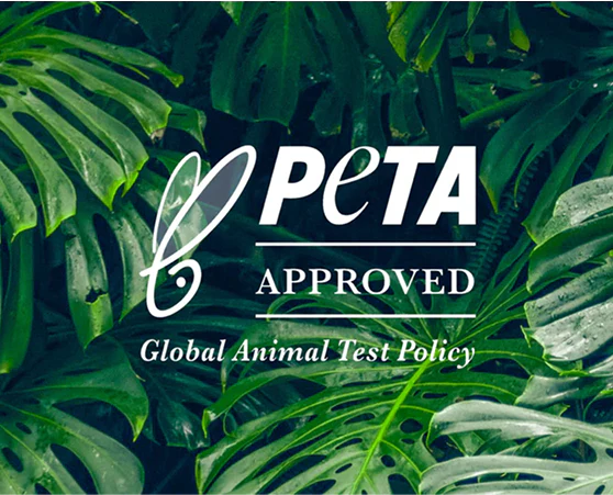 💚 100% VEGAN